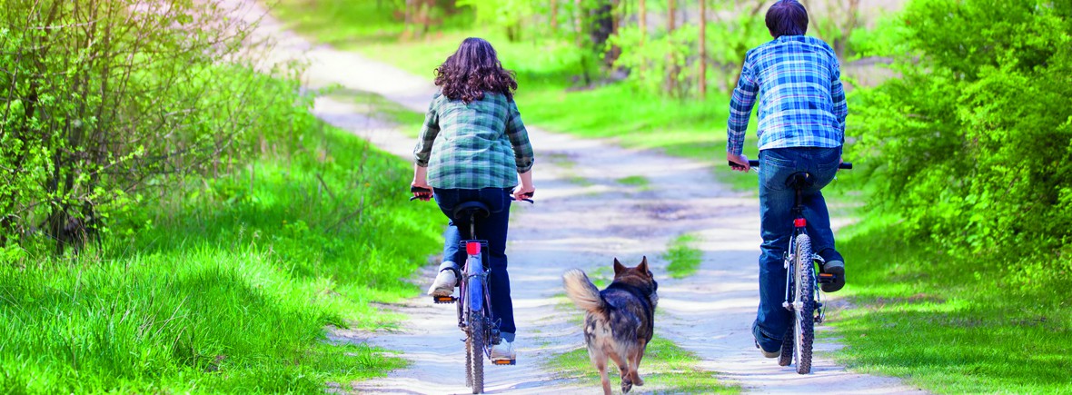 Young happy couple ride bicycles in the village back to camera